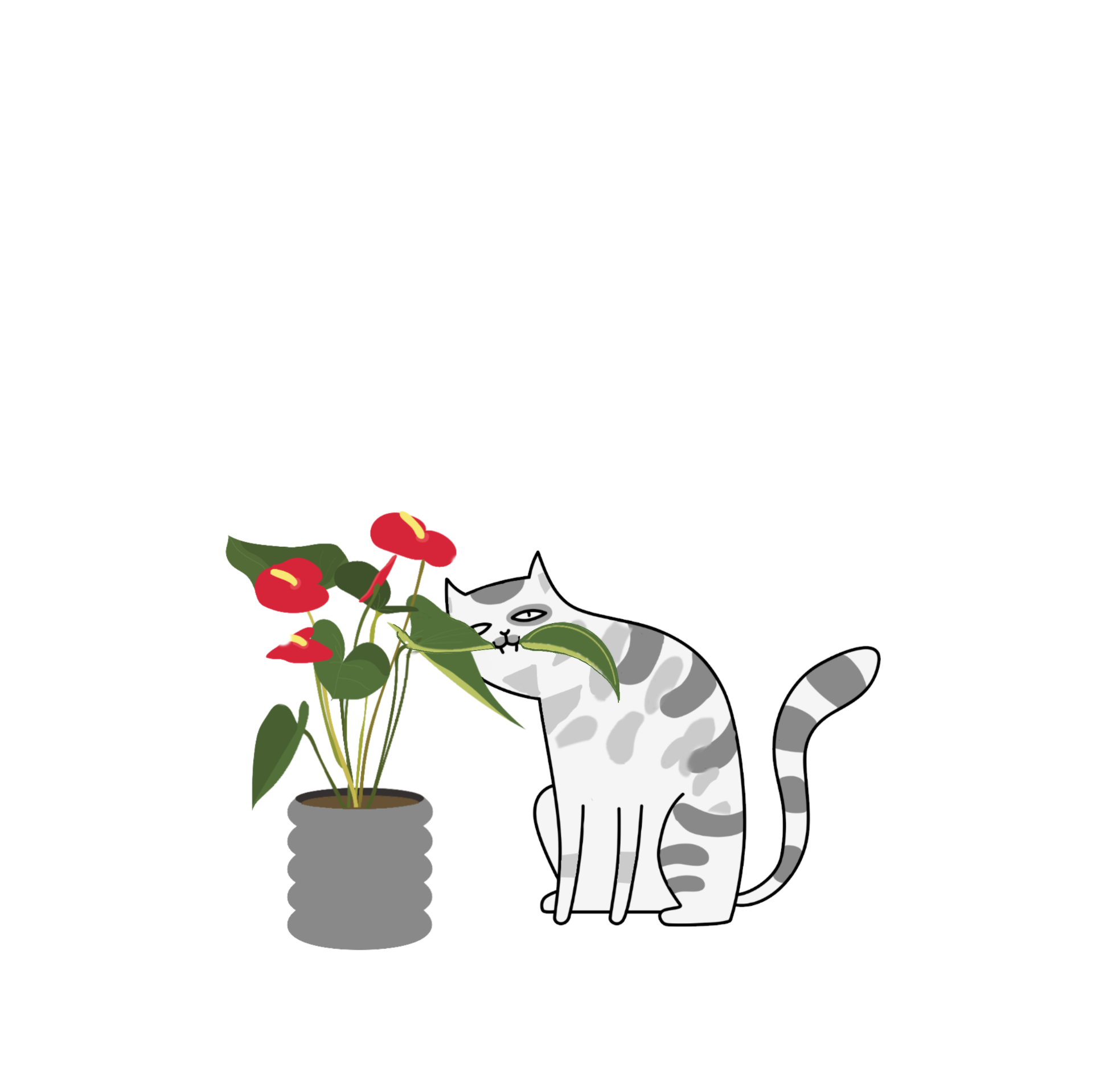 CAT YOUNG TASTE LOGO CAT YOUNG TASTE LOGO
